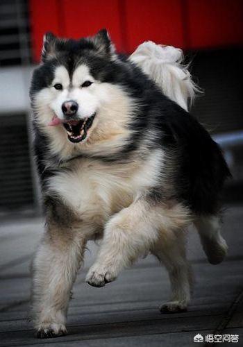 20221115205749_64754 20221115205749_64754