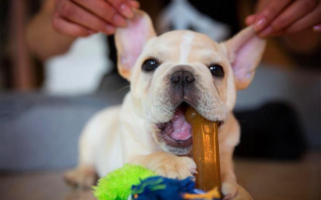 20221115210300_16361