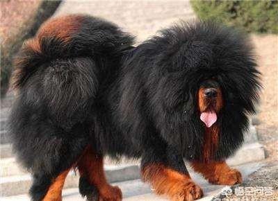 20221115215916_67719