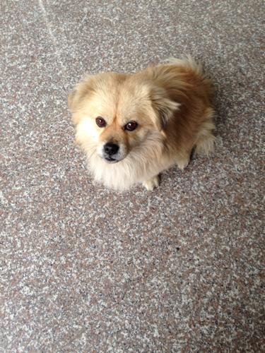 20221115220952_22938