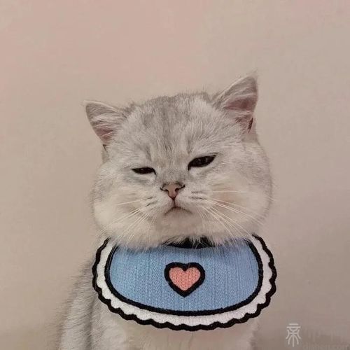 20221115220952_27055