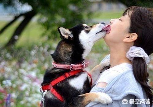 20221116103302_96844 20221116103302_96844