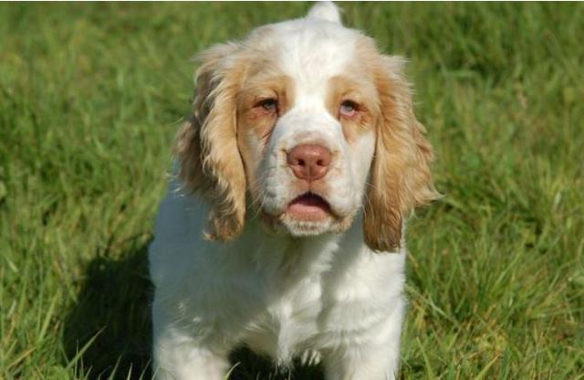 20221116103548_68453 20221116103548_68453