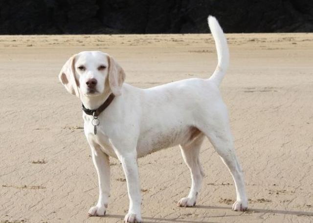 20221116103548_90332 20221116103548_90332