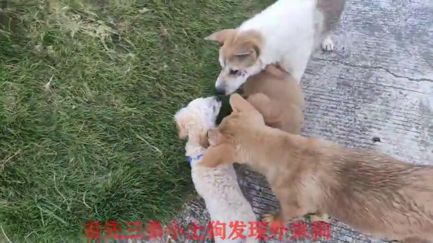 20221116111936_30081 20221116111936_30081