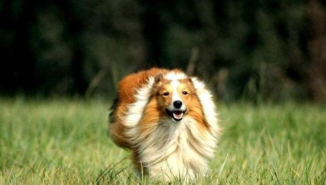 20221116112644_33279 20221116112644_33279