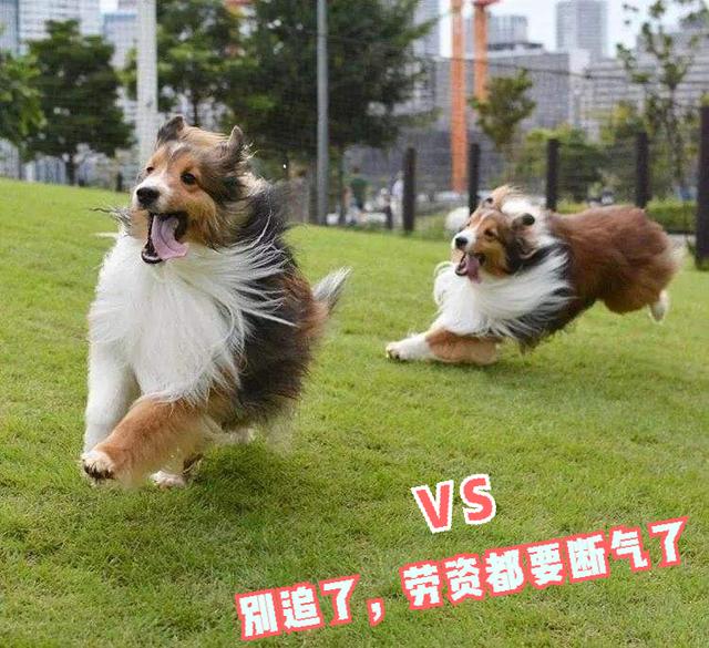 20221116112645_17945 20221116112645_17945