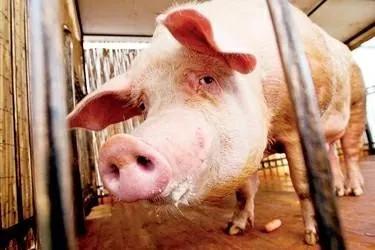 20221116140031_61417 20221116140031_61417