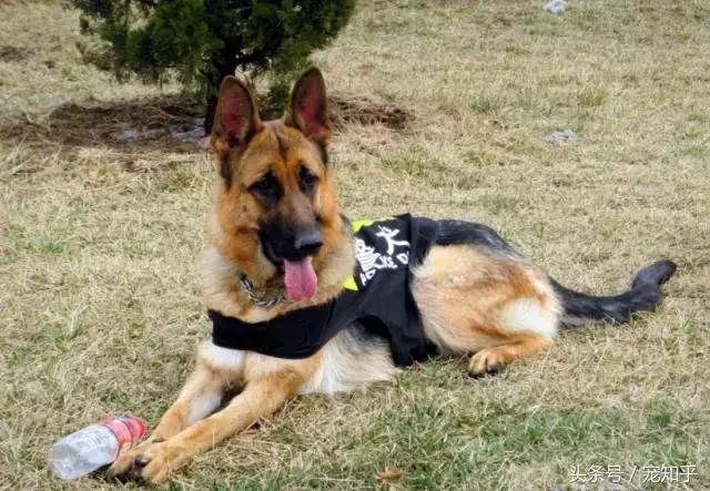 20221116141552_77930