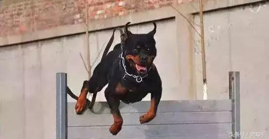 20221116141553_66816