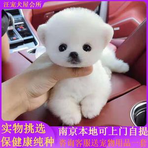 20221116144812_94666 20221116144812_94666