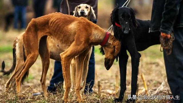 20221116151455_32336