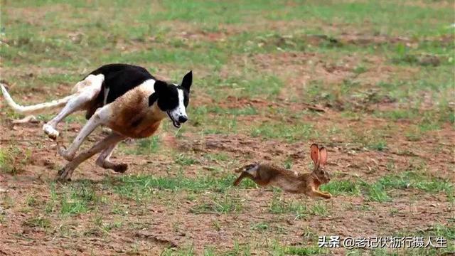 20221116151455_44143