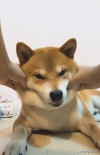 20221116154243_73037 20221116154243_73037