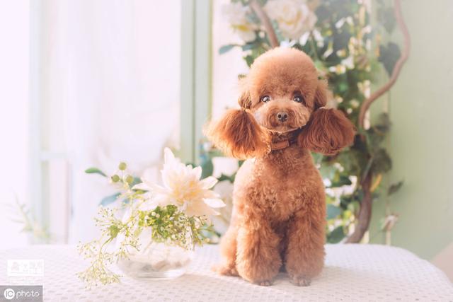 20221116155844_42345 20221116155844_42345