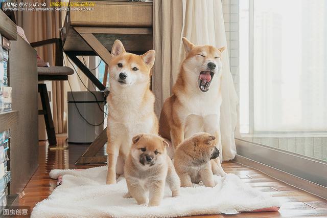 20221116155844_59734 20221116155844_59734