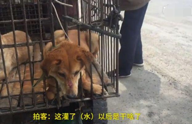 20221116163953_42146 20221116163953_42146