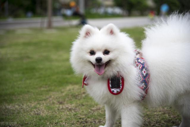 20221116172550_10076