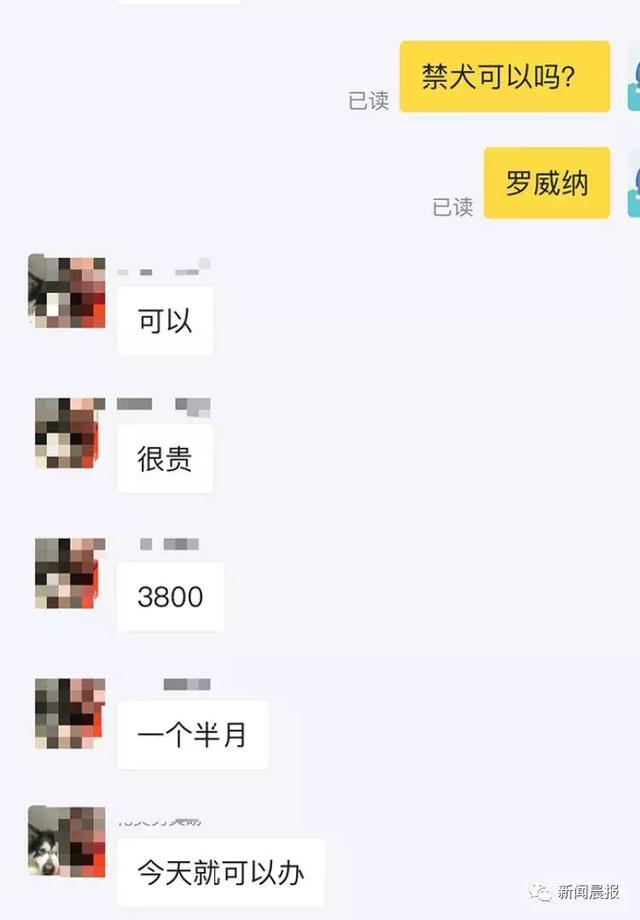 20221116174935_79328 20221116174935_79328