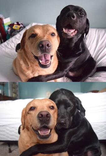 20221116191154_70960 20221116191154_70960