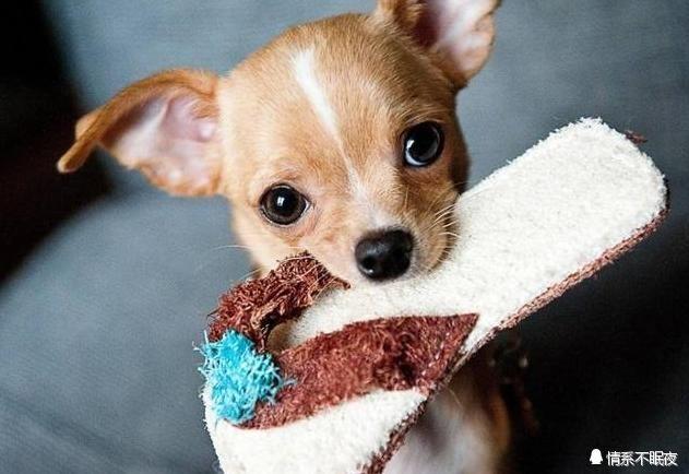 20221116191155_86252 20221116191155_86252