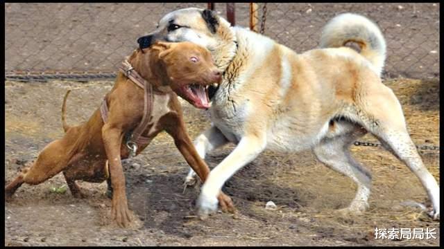 20221116191630_27455 20221116191630_27455