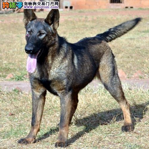 20221116200300_50845