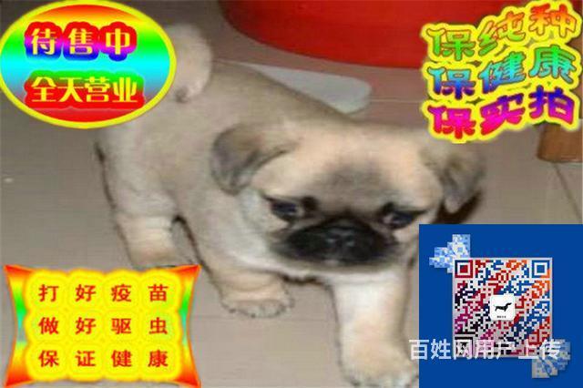 20221116201724_15470