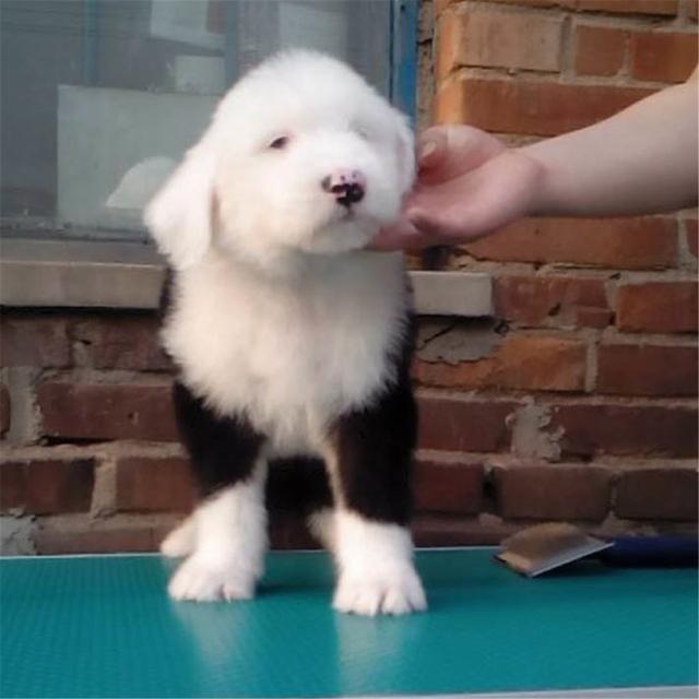 20221117090453_50637