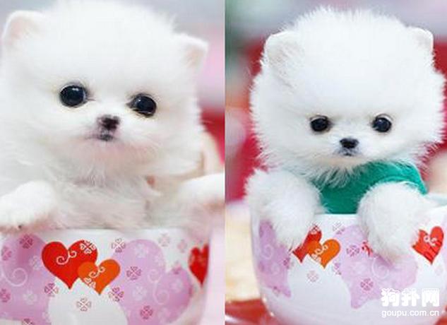 20221117091913_55124 20221117091913_55124