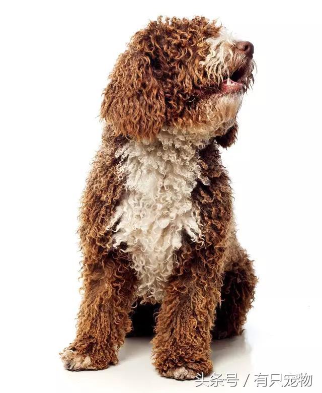 20221117093838_51618