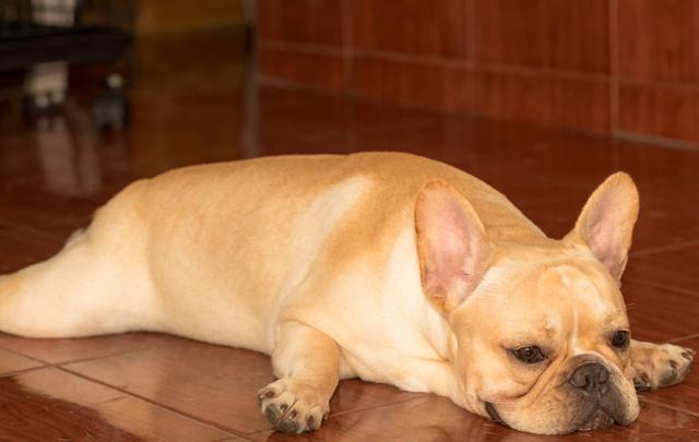 20221117095321_69004 20221117095321_69004