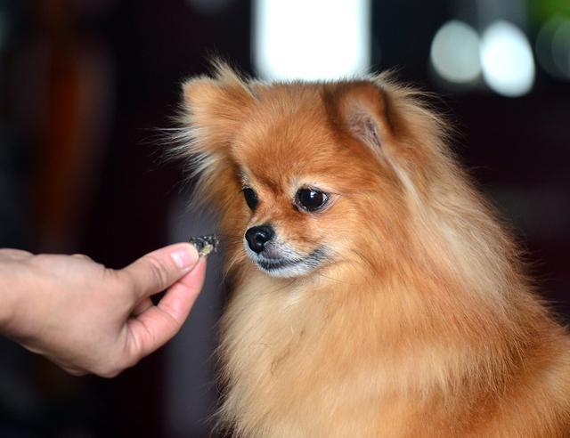 20221117101836_70733