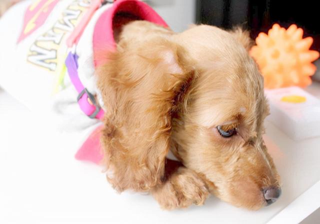 20221117102435_40185 20221117102435_40185