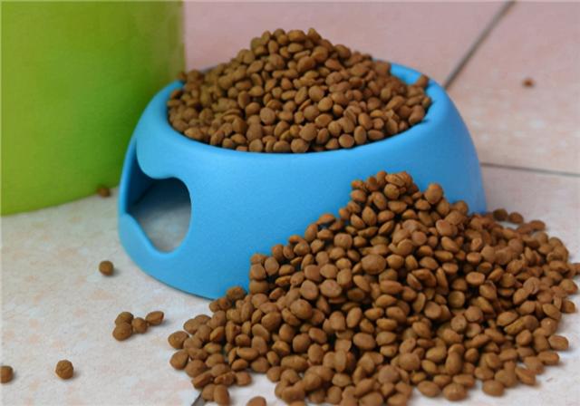 20221117102436_50541 20221117102436_50541