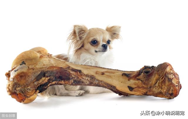 20221117103608_27149