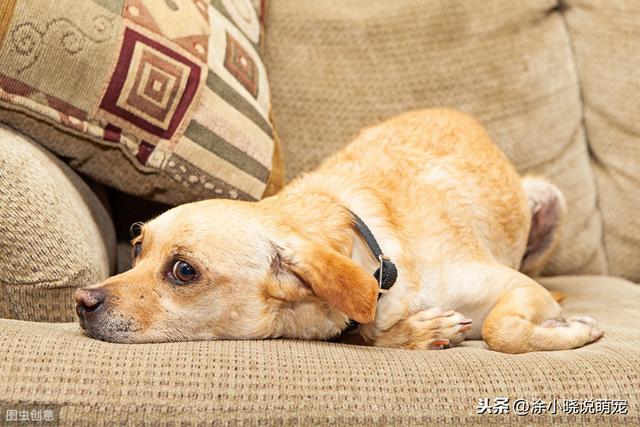 20221117103608_47563