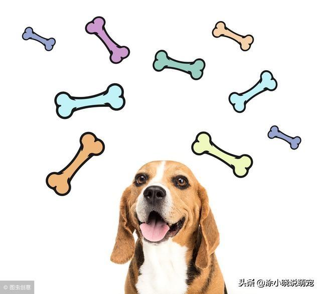 狗的消化骨头萌宠(如何让狗快速消化骨头)-警犬训练器材厂家 _警犬训练用品_工作犬训练用品-南京开久警犬装备