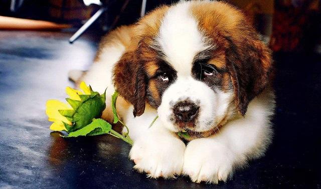 20221117132726_80291