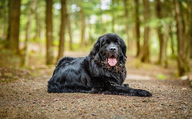 20221117132726_88591