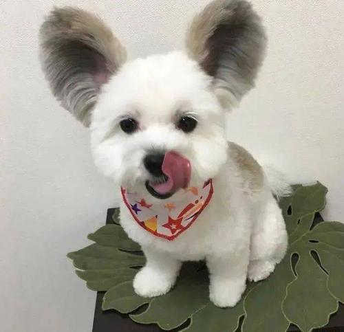 20221117152812_56021 20221117152812_56021