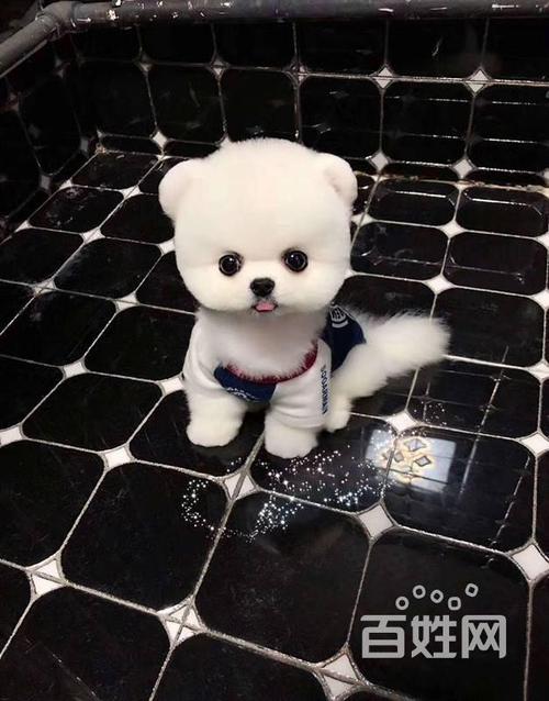 20221117154102_77254 20221117154102_77254