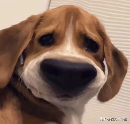 20221117155828_75965