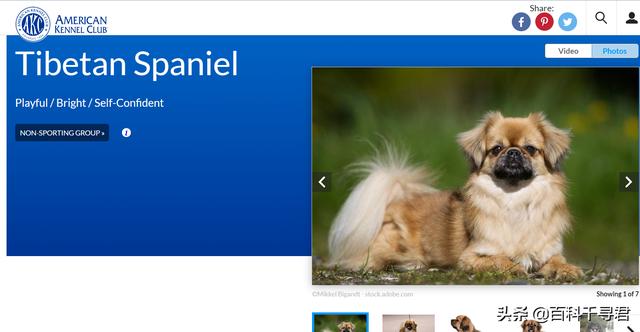 20221117163346_52738