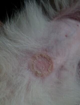 20221117172615_70027 20221117172615_70027