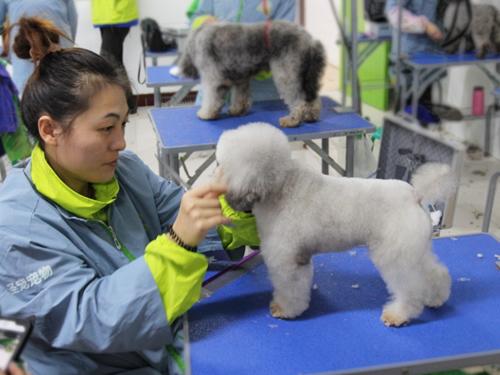 20221117182849_29695 20221117182849_29695