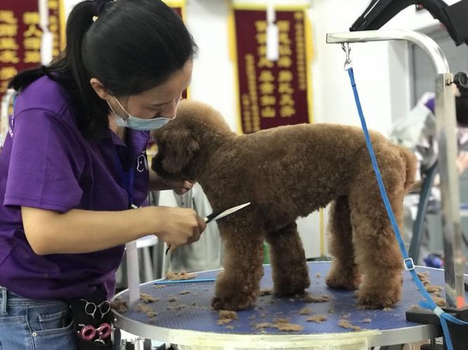 20221117182849_98848 20221117182849_98848