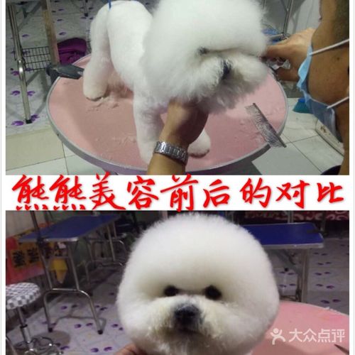 20221117182850_15484 20221117182850_15484