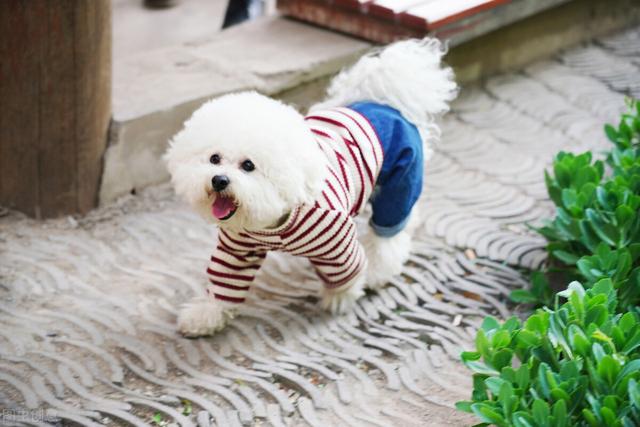 20221117183809_95230