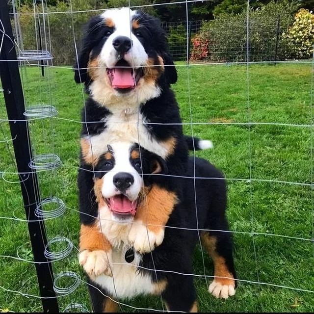 20221117190218_31336